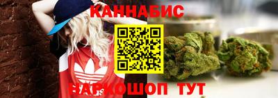 гидропоника Нальчик