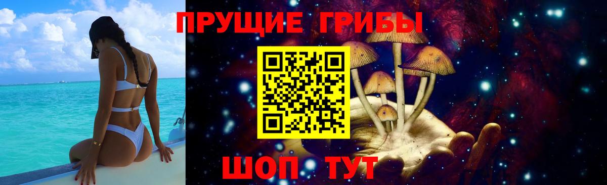 Галлюциногенные грибы мухоморы Волгоград